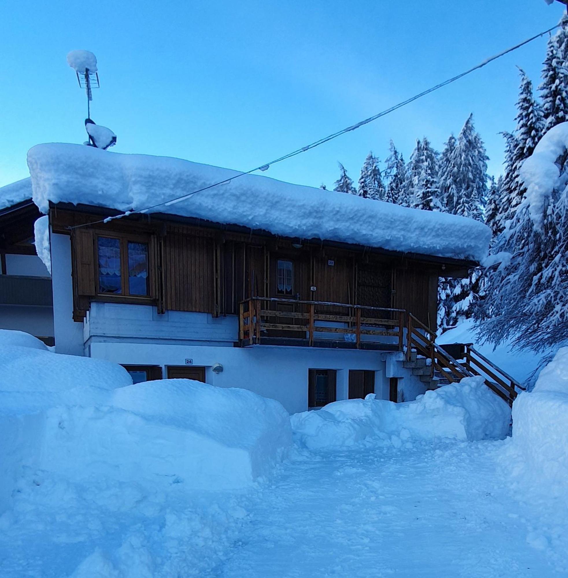 Villa Gaia Folgarida Dış mekan fotoğraf